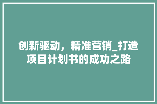 创新驱动，精准营销_打造项目计划书的成功之路