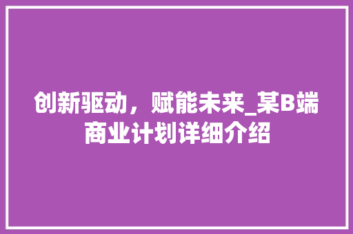 创新驱动，赋能未来_某B端商业计划详细介绍
