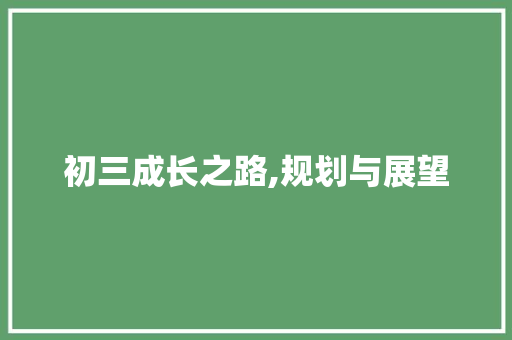 初三成长之路,规划与展望