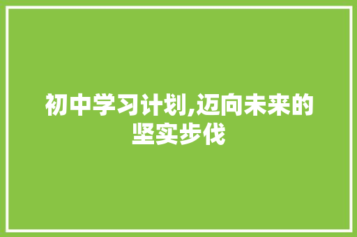初中学习计划,迈向未来的坚实步伐