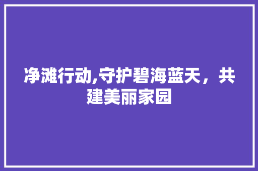 净滩行动,守护碧海蓝天，共建美丽家园
