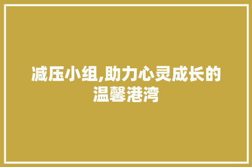减压小组,助力心灵成长的温馨港湾