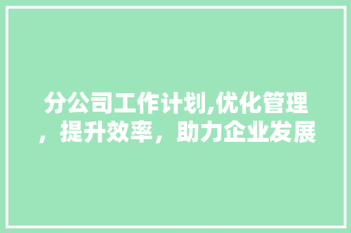 分公司工作计划,优化管理，提升效率，助力企业发展