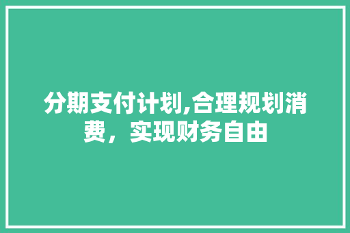 分期支付计划,合理规划消费，实现财务自由