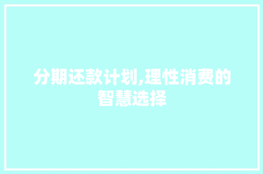 分期还款计划,理性消费的智慧选择