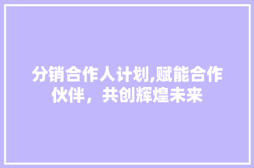 分销合作人计划,赋能合作伙伴，共创辉煌未来