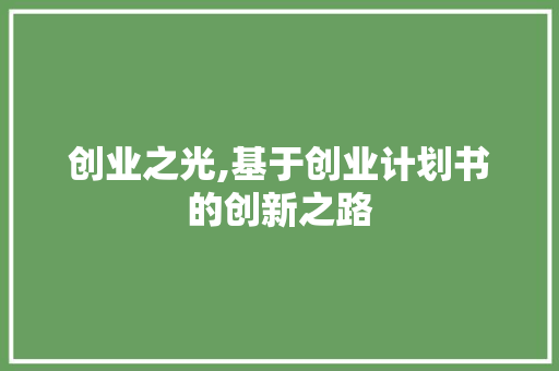 创业之光,基于创业计划书的创新之路