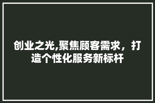 创业之光,聚焦顾客需求，打造个性化服务新标杆
