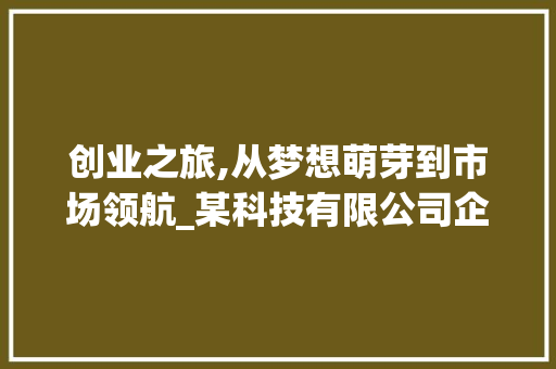 创业之旅,从梦想萌芽到市场领航_某科技有限公司企业简史