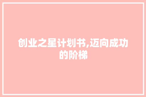 创业之星计划书,迈向成功的阶梯