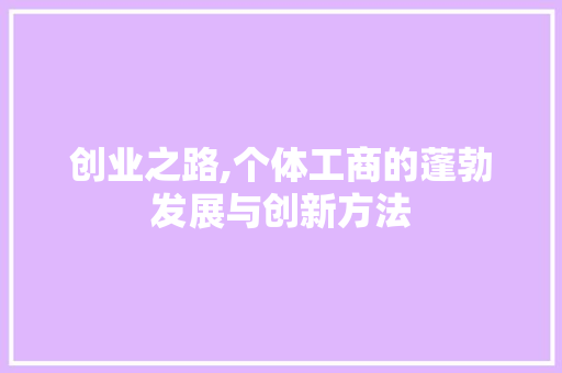 创业之路,个体工商的蓬勃发展与创新方法