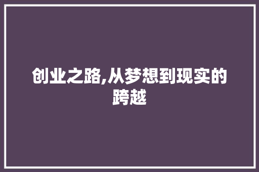 创业之路,从梦想到现实的跨越