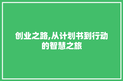 创业之路,从计划书到行动的智慧之旅