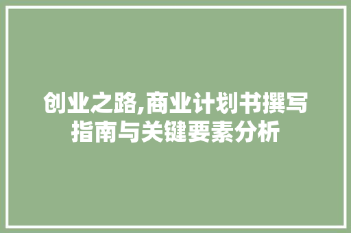 创业之路,商业计划书撰写指南与关键要素分析