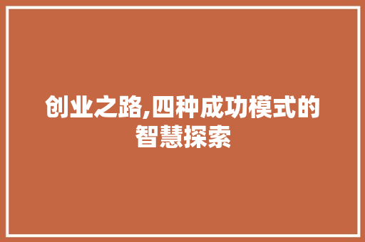 创业之路,四种成功模式的智慧探索 职场写作