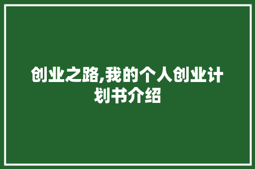 创业之路,我的个人创业计划书介绍