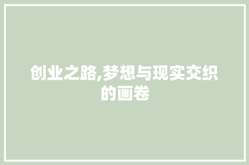 创业之路,梦想与现实交织的画卷