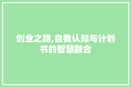 创业之路,自我认知与计划书的智慧融合