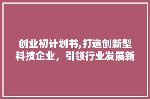 创业初计划书,打造创新型科技企业，引领行业发展新风向