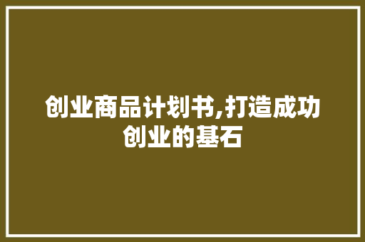 创业商品计划书,打造成功创业的基石