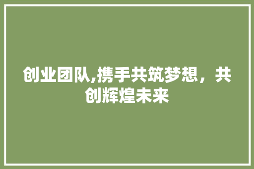 创业团队,携手共筑梦想，共创辉煌未来