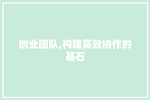 创业团队,构建高效协作的基石