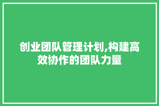 创业团队管理计划,构建高效协作的团队力量