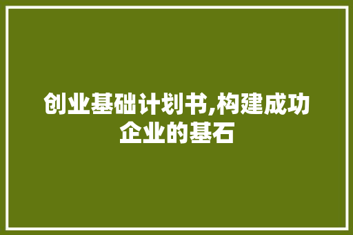 创业基础计划书,构建成功企业的基石 应用文