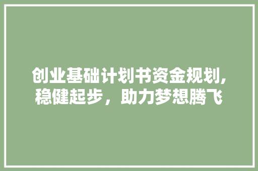 创业基础计划书资金规划,稳健起步，助力梦想腾飞