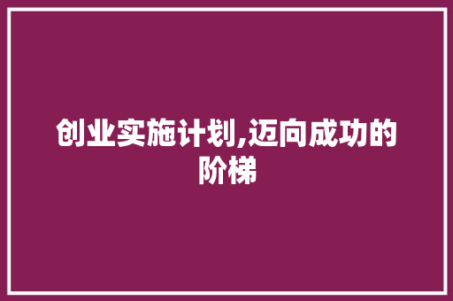 创业实施计划,迈向成功的阶梯