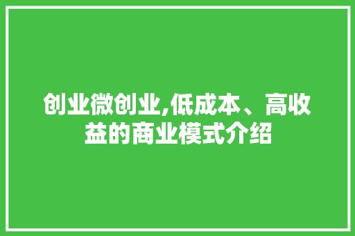 创业微创业,低成本、高收益的商业模式介绍