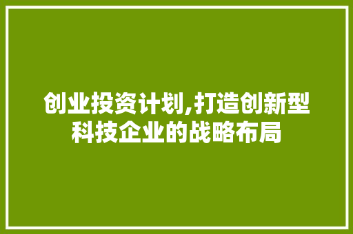 创业投资计划,打造创新型科技企业的战略布局