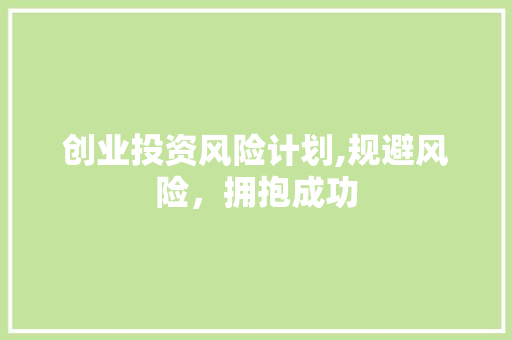 创业投资风险计划,规避风险，拥抱成功