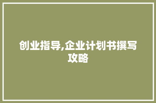 创业指导,企业计划书撰写攻略