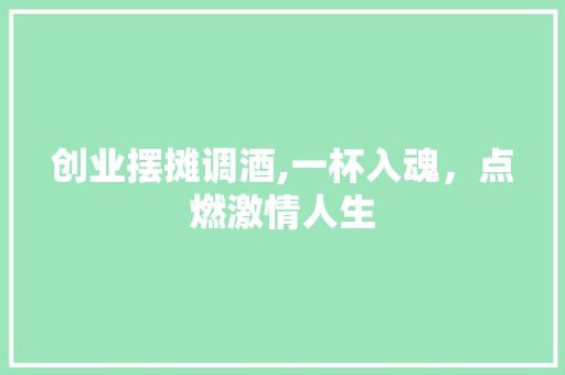 创业摆摊调酒,一杯入魂，点燃激情人生