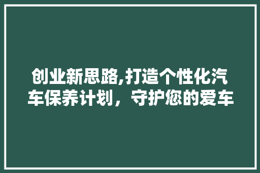创业新思路,打造个性化汽车保养计划，守护您的爱车