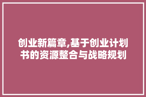 创业新篇章,基于创业计划书的资源整合与战略规划