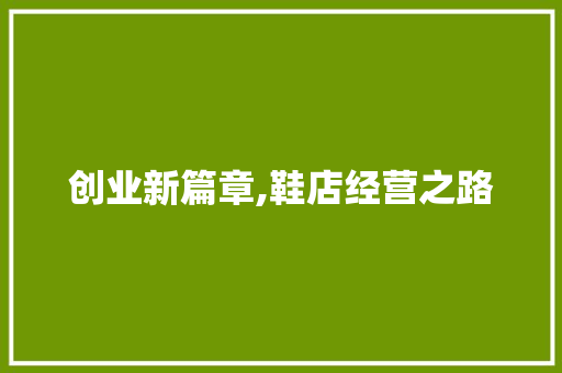 创业新篇章,鞋店经营之路