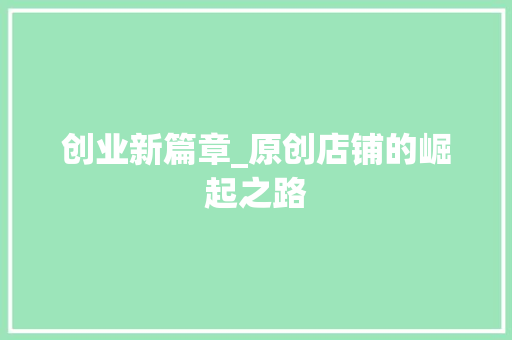 创业新篇章_原创店铺的崛起之路 项目报告
