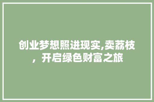 创业梦想照进现实,卖荔枝，开启绿色财富之旅