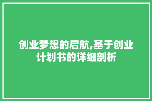 创业梦想的启航,基于创业计划书的详细剖析