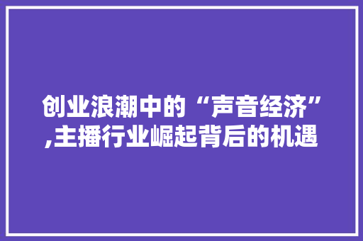 创业浪潮中的“声音经济”,主播行业崛起背后的机遇与挑战