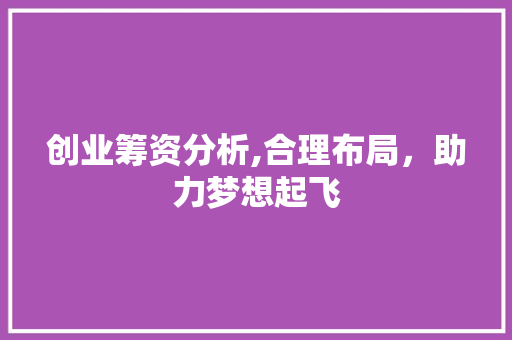 创业筹资分析,合理布局，助力梦想起飞