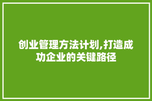 创业管理方法计划,打造成功企业的关键路径 社交媒体
