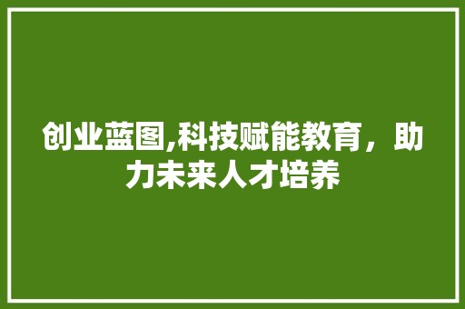 创业蓝图,科技赋能教育，助力未来人才培养