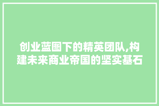 创业蓝图下的精英团队,构建未来商业帝国的坚实基石