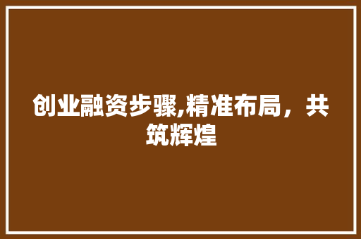 创业融资步骤,精准布局，共筑辉煌