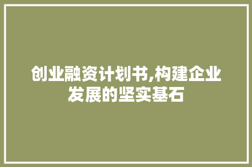 创业融资计划书,构建企业发展的坚实基石