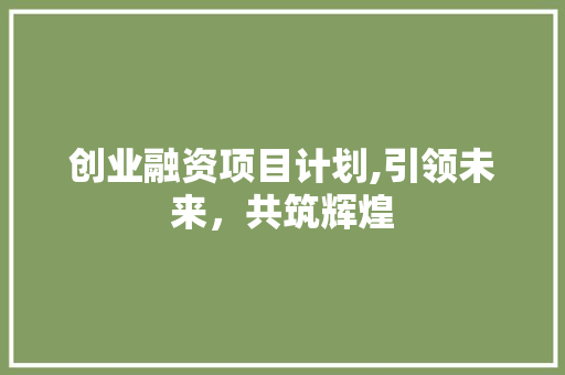 创业融资项目计划,引领未来，共筑辉煌 工作总结