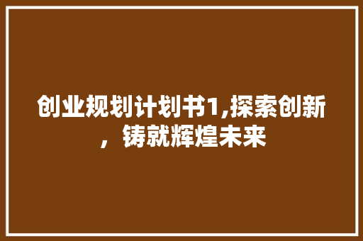 创业规划计划书1,探索创新，铸就辉煌未来